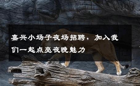 嘉兴小场子夜场招聘，加入我们一起点亮夜晚魅力