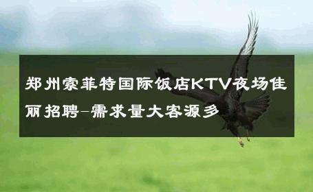 郑州索菲特国际饭店KTV夜场佳丽招聘-需求量大客源多 