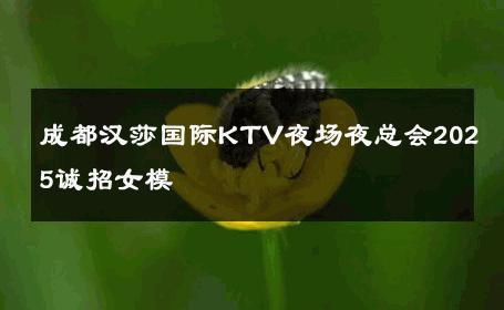 成都汉莎国际KTV夜场夜总会2025诚招女模 