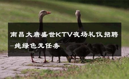 南昌大唐盛世KTV夜场礼仪招聘-纯绿色无任务 