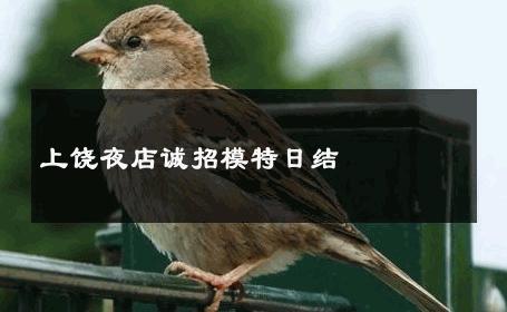 上饶夜店诚招模特日结 