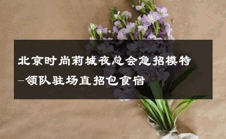 北京时尚莉城夜总会急招模特-领队驻场直招包食宿 