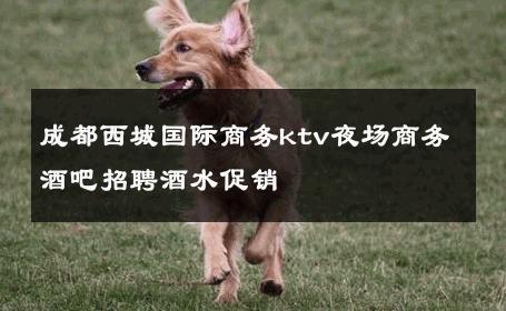 成都西城国际商务ktv夜场商务酒吧招聘酒水促销 