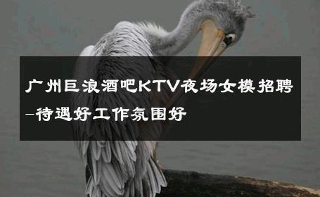 广州巨浪酒吧KTV夜场女模招聘-待遇好工作氛围好 