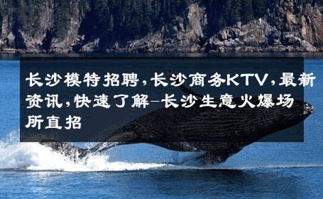 长沙模特招聘,长沙商务KTV,最新资讯,快速了解-长沙生意火爆场所直招