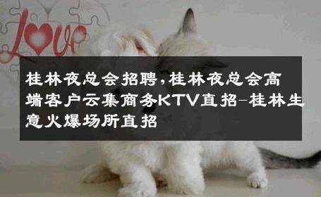 桂林夜总会招聘,桂林夜总会高端客户云集商务KTV直招-桂林生意火爆场所直招