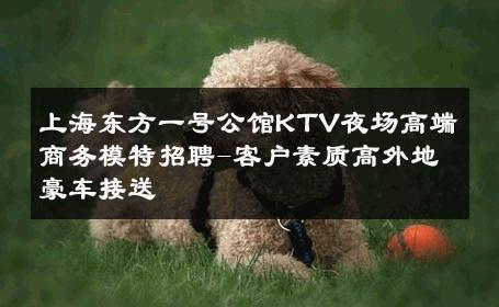 上海东方一号公馆KTV夜场高端商务模特招聘-客户素质高外地豪车接送 