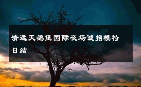 清远天鹅堡国际夜场诚招模特日结 