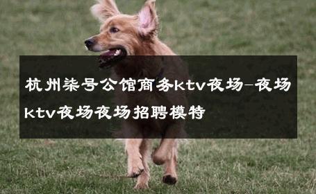 杭州柒号公馆商务ktv夜场-夜场ktv夜场夜场招聘模特 