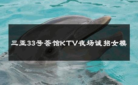 三亚33号荟馆KTV夜场诚招女模 