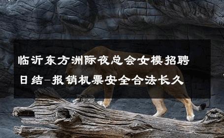 临沂东方洲际夜总会女模招聘日结-报销机票安全合法长久 