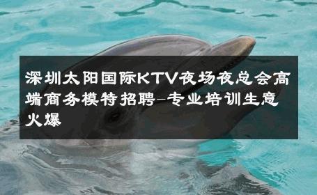 深圳太阳国际KTV夜场夜总会高端商务模特招聘-专业培训生意火爆 