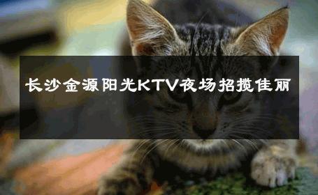 长沙金源阳光KTV夜场招揽佳丽 