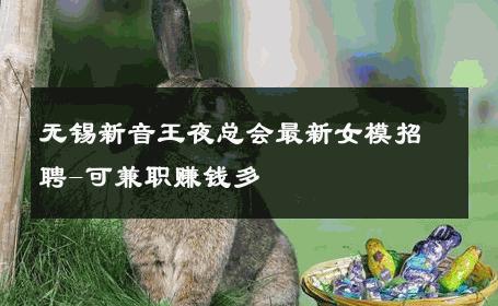 无锡新音王夜总会最新女模招聘-可兼职赚钱多 