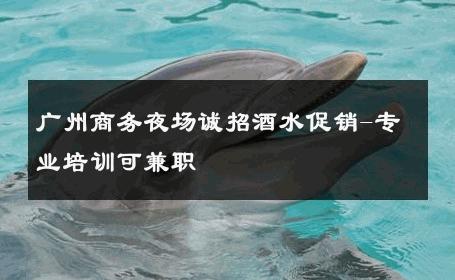 广州商务夜场诚招酒水促销-专业培训可兼职 