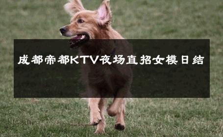成都帝都KTV夜场直招女模日结 