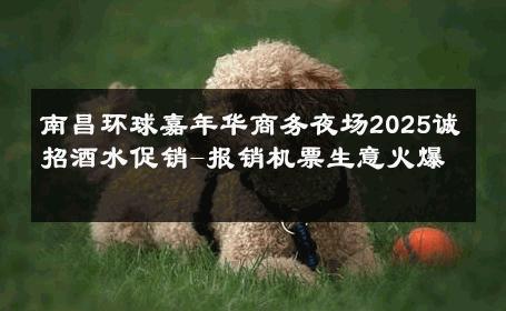 南昌环球嘉年华商务夜场2025诚招酒水促销-报销机票生意火爆 