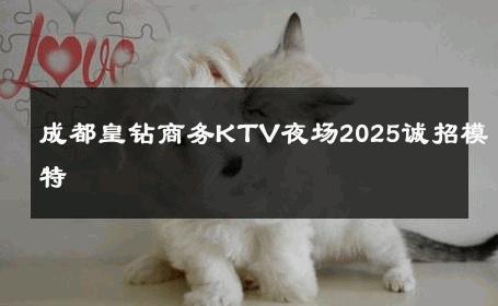 成都皇钻商务KTV夜场2025诚招模特 