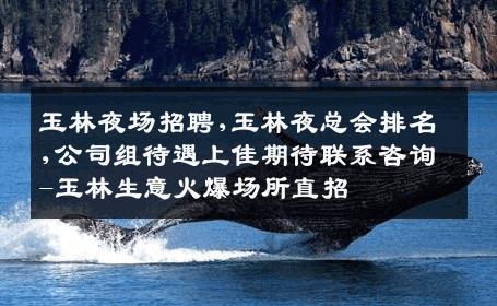 玉林夜场招聘,玉林夜总会排名,公司组待遇上佳期待联系咨询-玉林生意火爆场所直招
