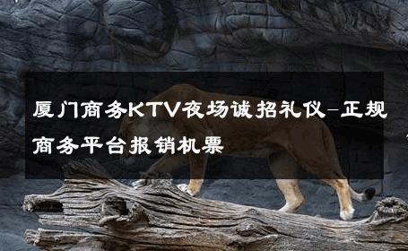 厦门商务KTV夜场诚招礼仪-正规商务平台报销机票 