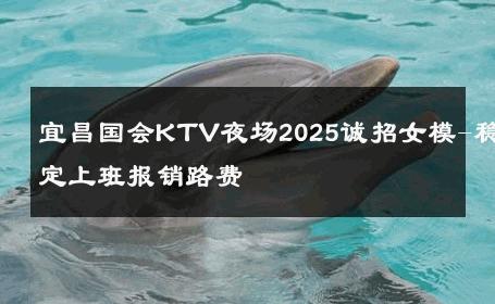 宜昌国会KTV夜场2025诚招女模-稳定上班报销路费 