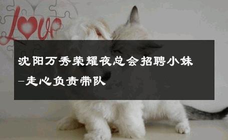 沈阳万秀荣耀夜总会招聘小妹-走心负责带队 