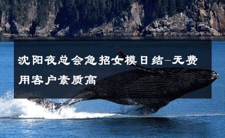 沈阳夜总会急招女模日结-无费用客户素质高 