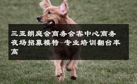 三亚朗庭会商务会客中心商务夜场招募模特-专业培训翻台率高 