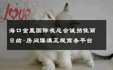 海口金凰国际夜总会诚招佳丽日结-房间爆满正规商务平台 