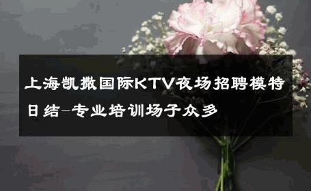 上海凯撒国际KTV夜场招聘模特日结-专业培训场子众多 
