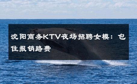 沈阳商务KTV夜场招聘女模：包住报销路费 