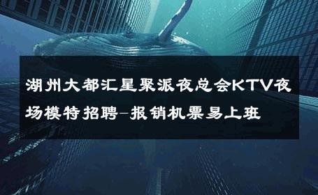 湖州大都汇星聚派夜总会KTV夜场模特招聘-报销机票易上班 