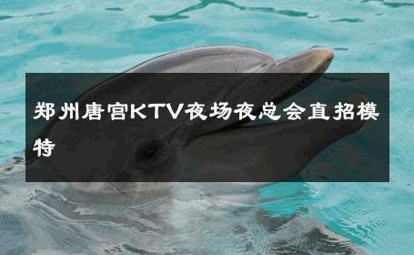郑州唐宫KTV夜场夜总会直招模特 