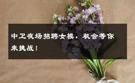 中卫夜场招聘女模，机会等你来挑战！