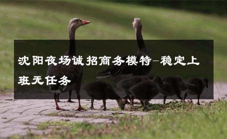 沈阳夜场诚招商务模特-稳定上班无任务 