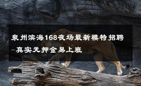泉州滨海168夜场最新模特招聘-真实无押金易上班 