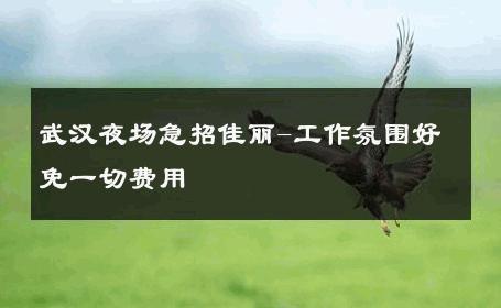 武汉夜场急招佳丽-工作氛围好免一切费用 