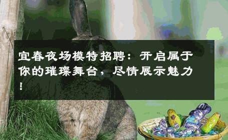 宜春夜场模特招聘：开启属于你的璀璨舞台，尽情展示魅力！