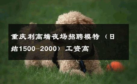 重庆利高端夜场招聘模特（日结1500-2000）工资高 