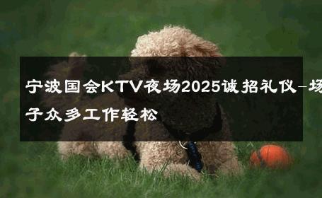 宁波国会KTV夜场2025诚招礼仪-场子众多工作轻松 