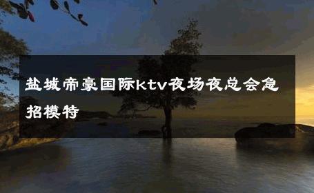 盐城帝豪国际ktv夜场夜总会急招模特 