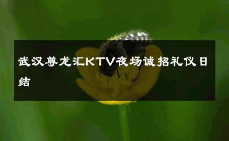 武汉尊龙汇KTV夜场诚招礼仪日结 