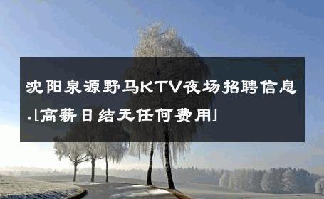 沈阳泉源野马KTV夜场招聘信息.[高薪日结无任何费用] 