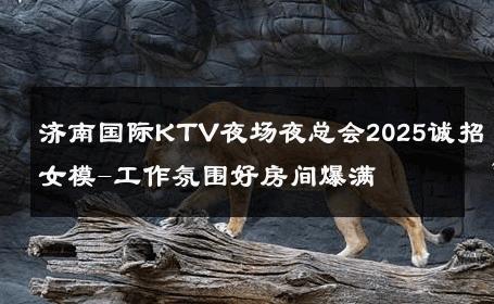 济南国际KTV夜场夜总会2025诚招女模-工作氛围好房间爆满 