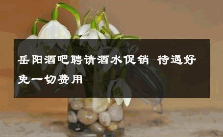 岳阳酒吧聘请酒水促销-待遇好免一切费用 
