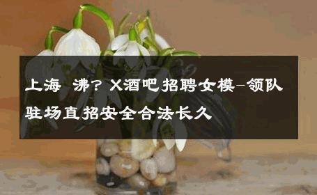 上海 沸？X酒吧招聘女模-领队驻场直招安全合法长久 