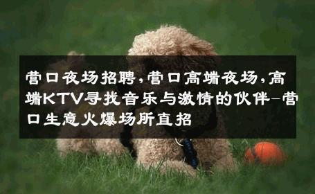 营口夜场招聘,营口高端夜场,高端KTV寻找音乐与激情的伙伴-营口生意火爆场所直招