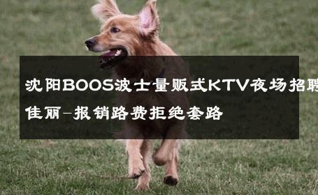 沈阳BOOS波士量贩式KTV夜场招聘佳丽-报销路费拒绝套路 