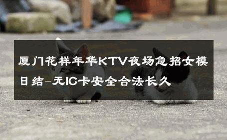 厦门花样年华KTV夜场急招女模日结-无IC卡安全合法长久 