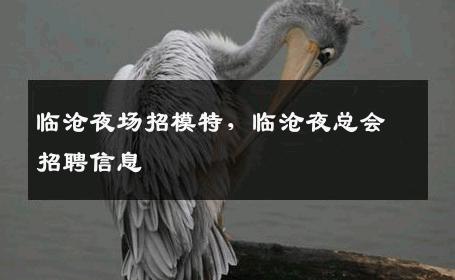 临沧夜场招模特，临沧夜总会招聘信息